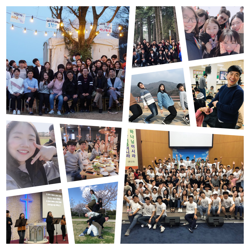 collage.png